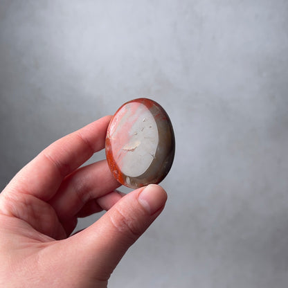 Red Petrified Wood Palm | Fossilized Wood Crystal Palmstone