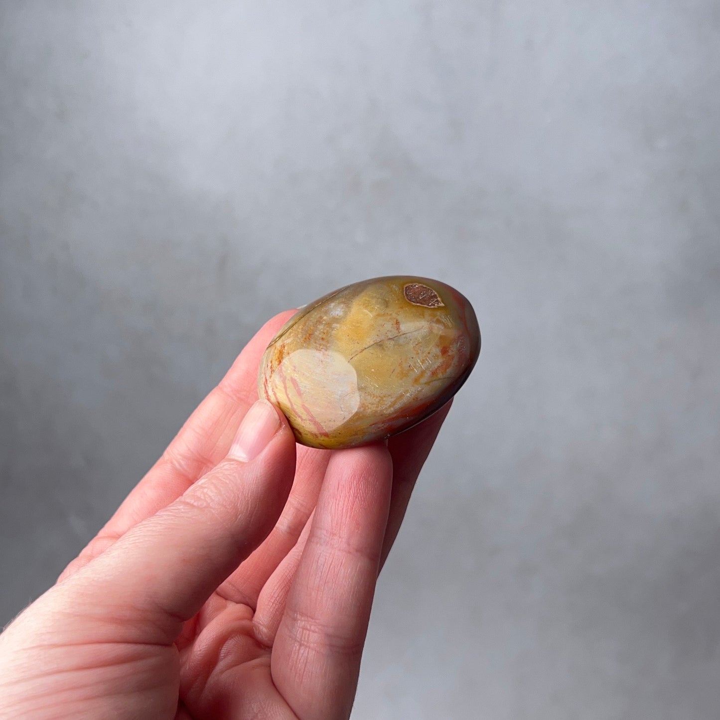 Red Petrified Wood Palm | Fossilized Wood Crystal Palmstone