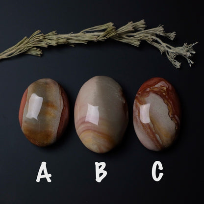 You Choose! Polychrome Jasper Palm | Crystal Palmstone