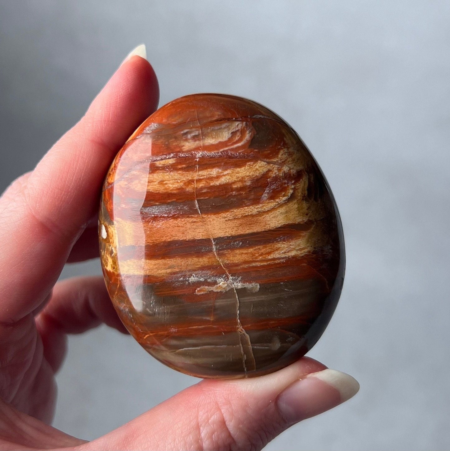 Petrified Wood Palm | Fossilized Wood Crystal Palmstone