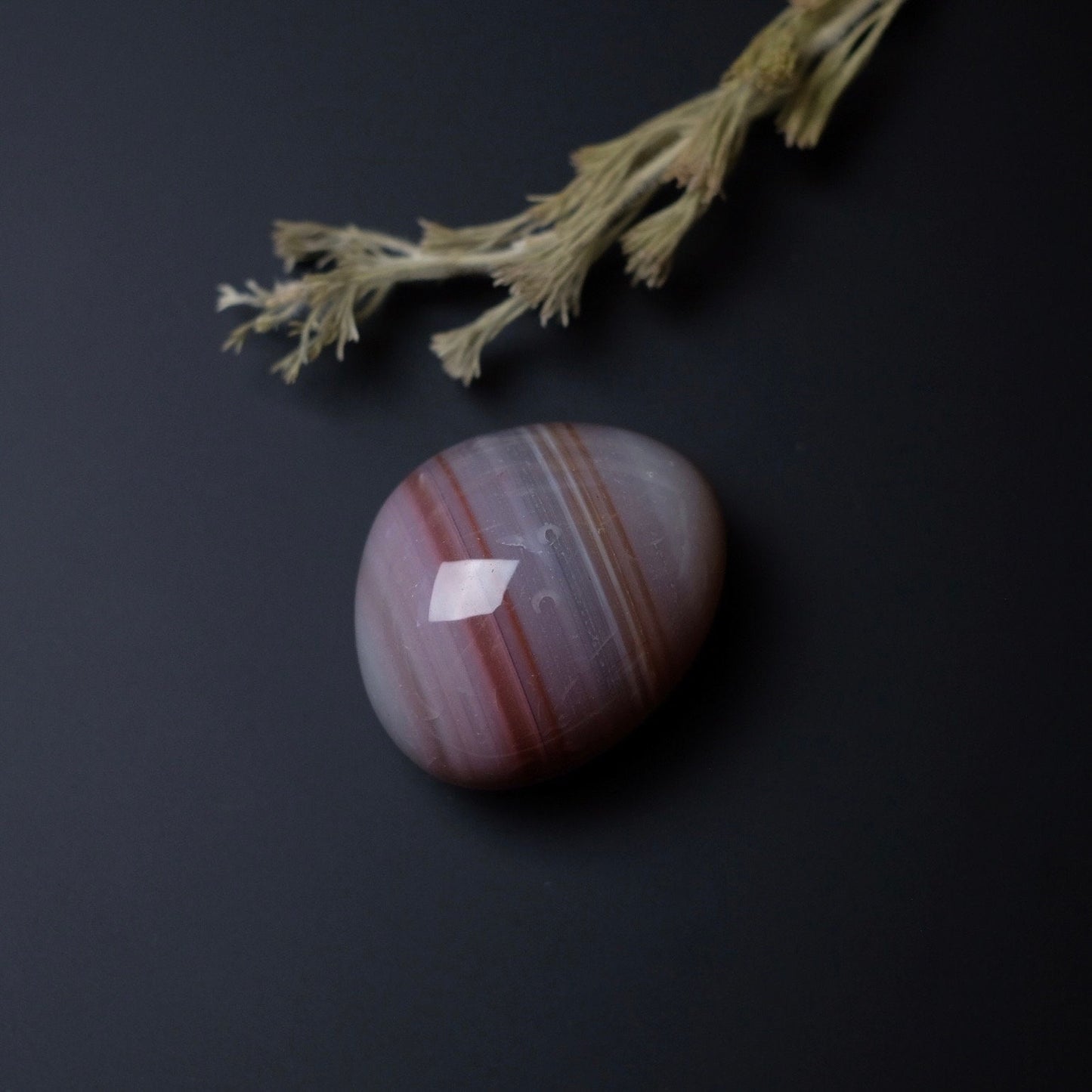 Agate Palm | Agate Crystal Palm Stone