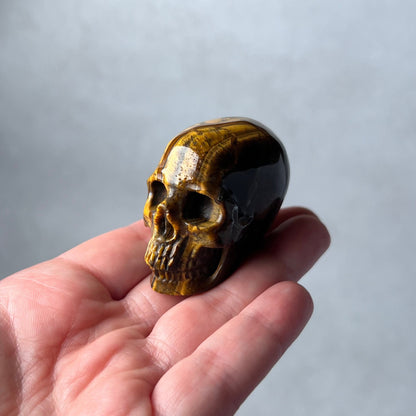 Tiger Eye Crystal Skull | Tigers Eye Skull