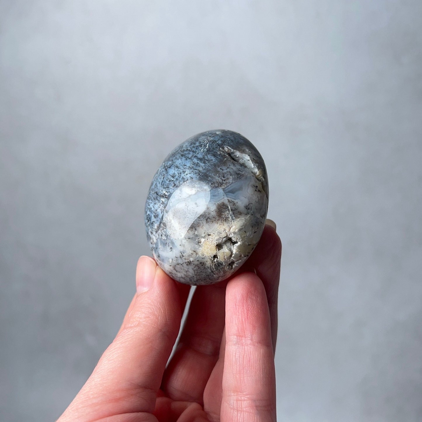 Merlinite Palm Stone | Dendritic Opal Palmstone