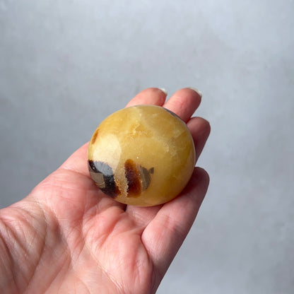 Septarian Palm | Dragon Septarian Crystal Palmstone