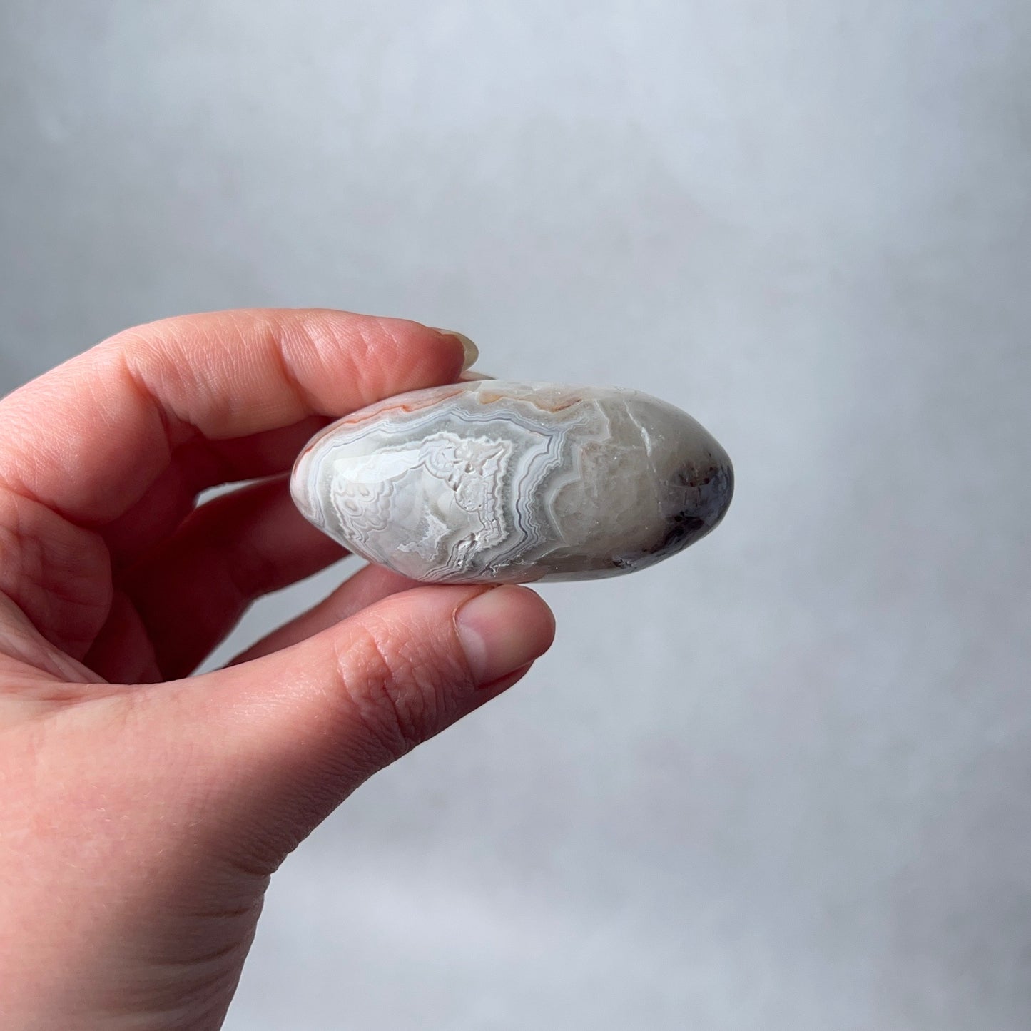 Grey Crazy Lace Agate Palm | Mexican Crazy Lace Crystal Palm