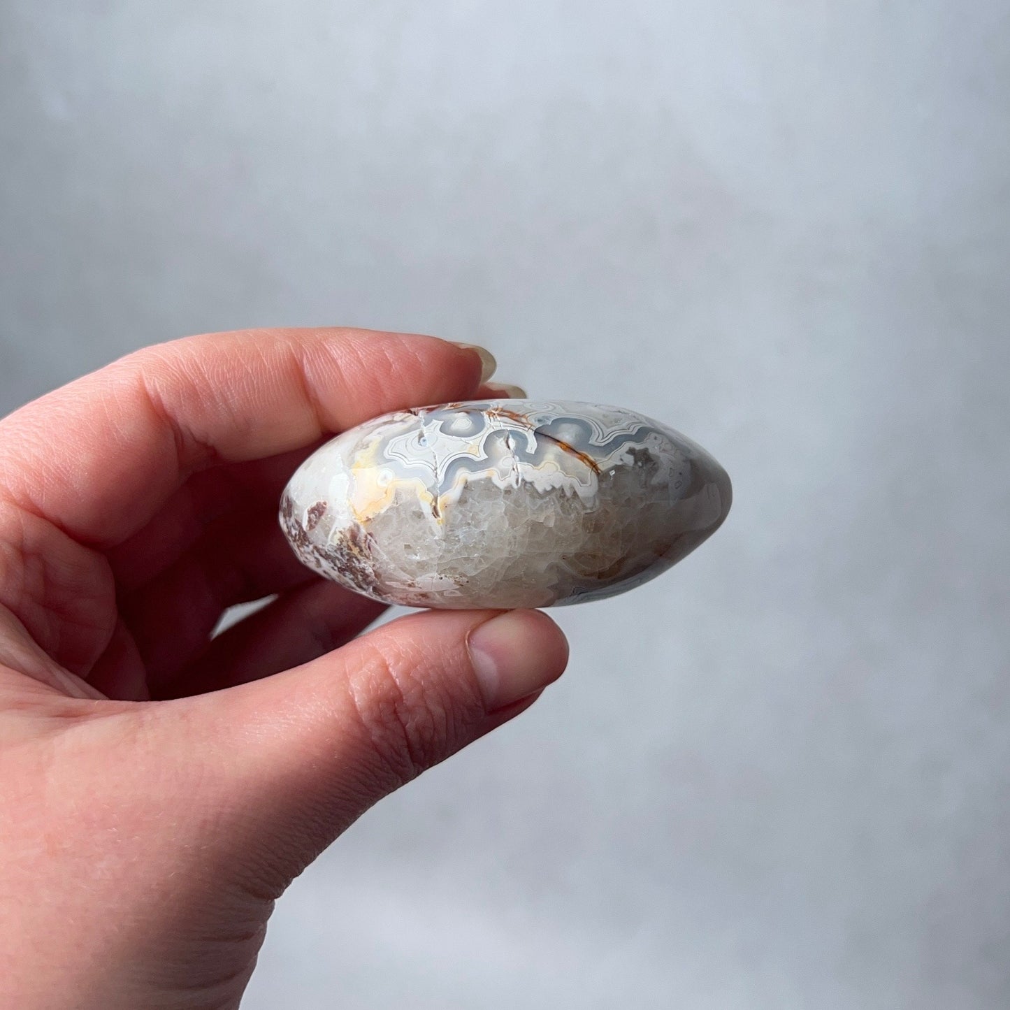 Grey Crazy Lace Agate Palm | Mexican Crazy Lace Crystal Palm