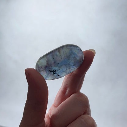 Mini Blue Fluorite Palm | Rainbow Fluorite Crystal