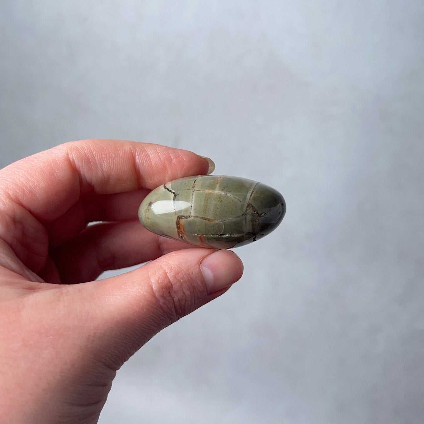 Ibis Jasper Palm | Brecciated Jasper Crystal Palmstone