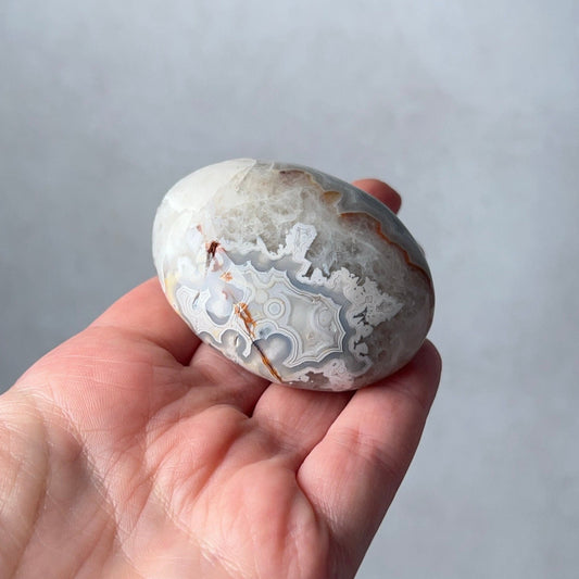 Grey Crazy Lace Agate Palm | Mexican Crazy Lace Crystal Palm