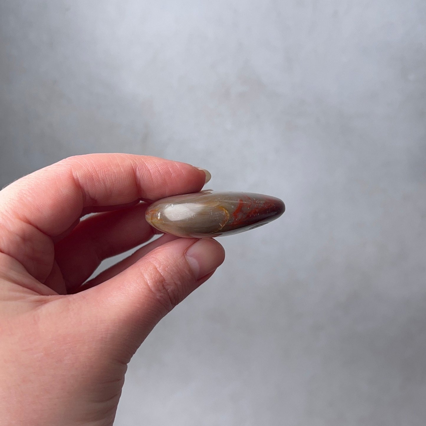 Red Petrified Wood Palm | Fossilized Wood Crystal Palmstone