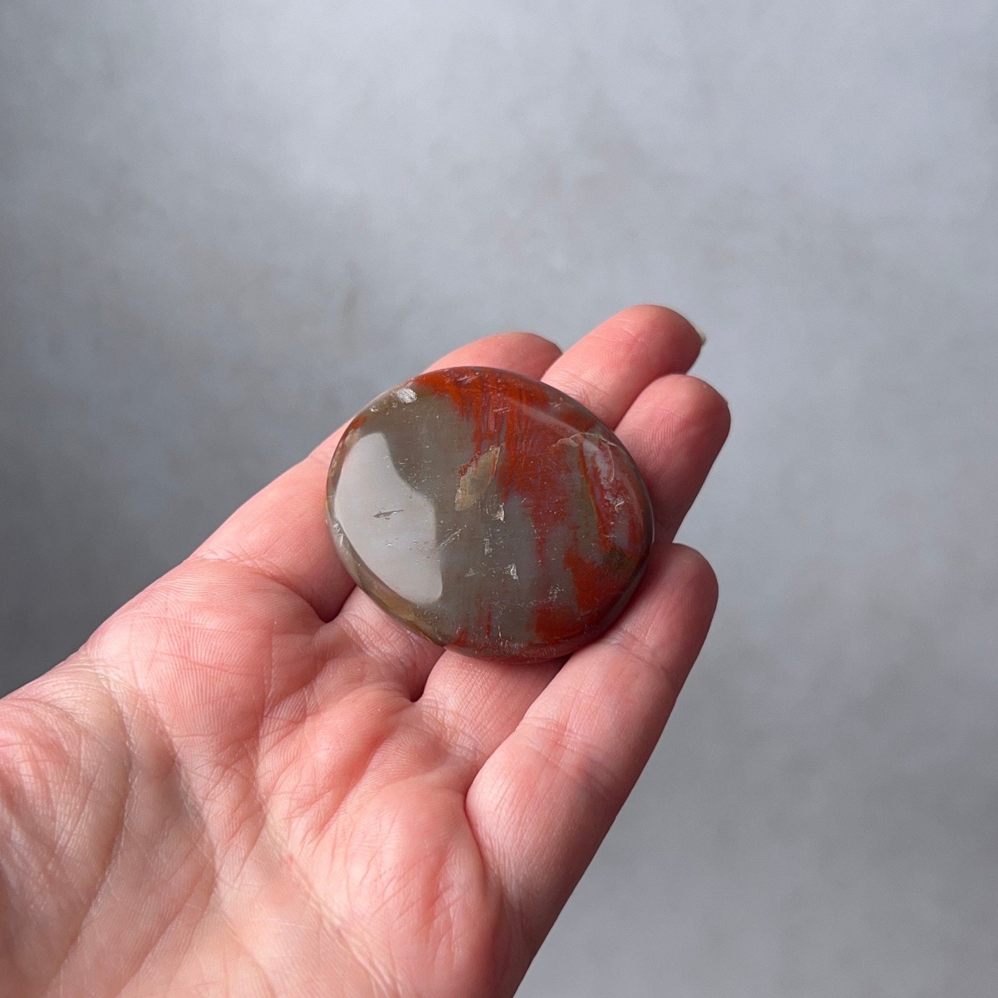 Red Petrified Wood Palm | Fossilized Wood Crystal Palmstone