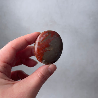 Red Petrified Wood Palm | Fossilized Wood Crystal Palmstone