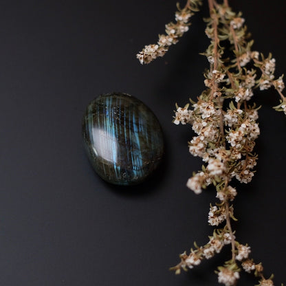 Flashy Labradorite Palm | Crystal Palm Stone