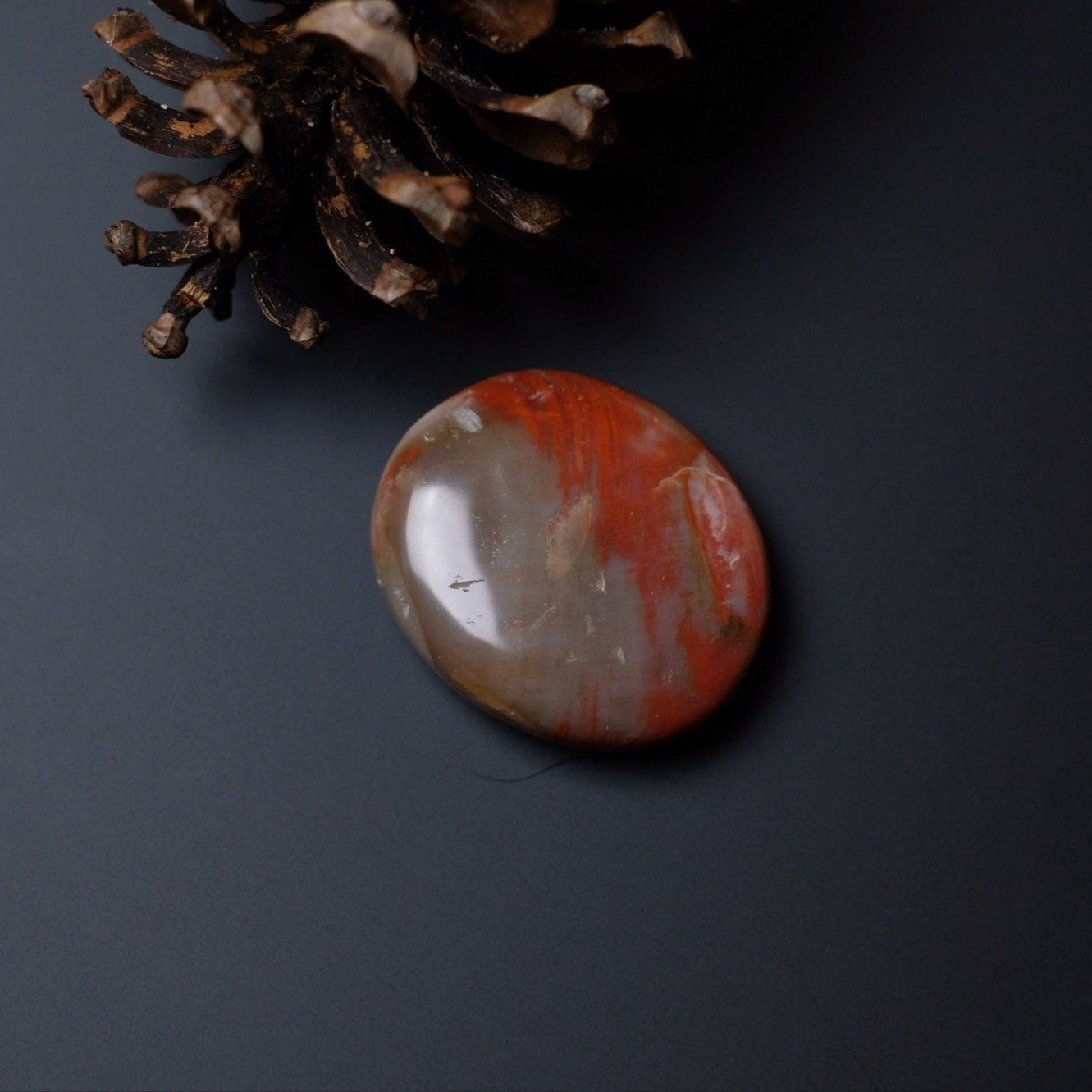 Red Petrified Wood Palm | Fossilized Wood Crystal Palmstone