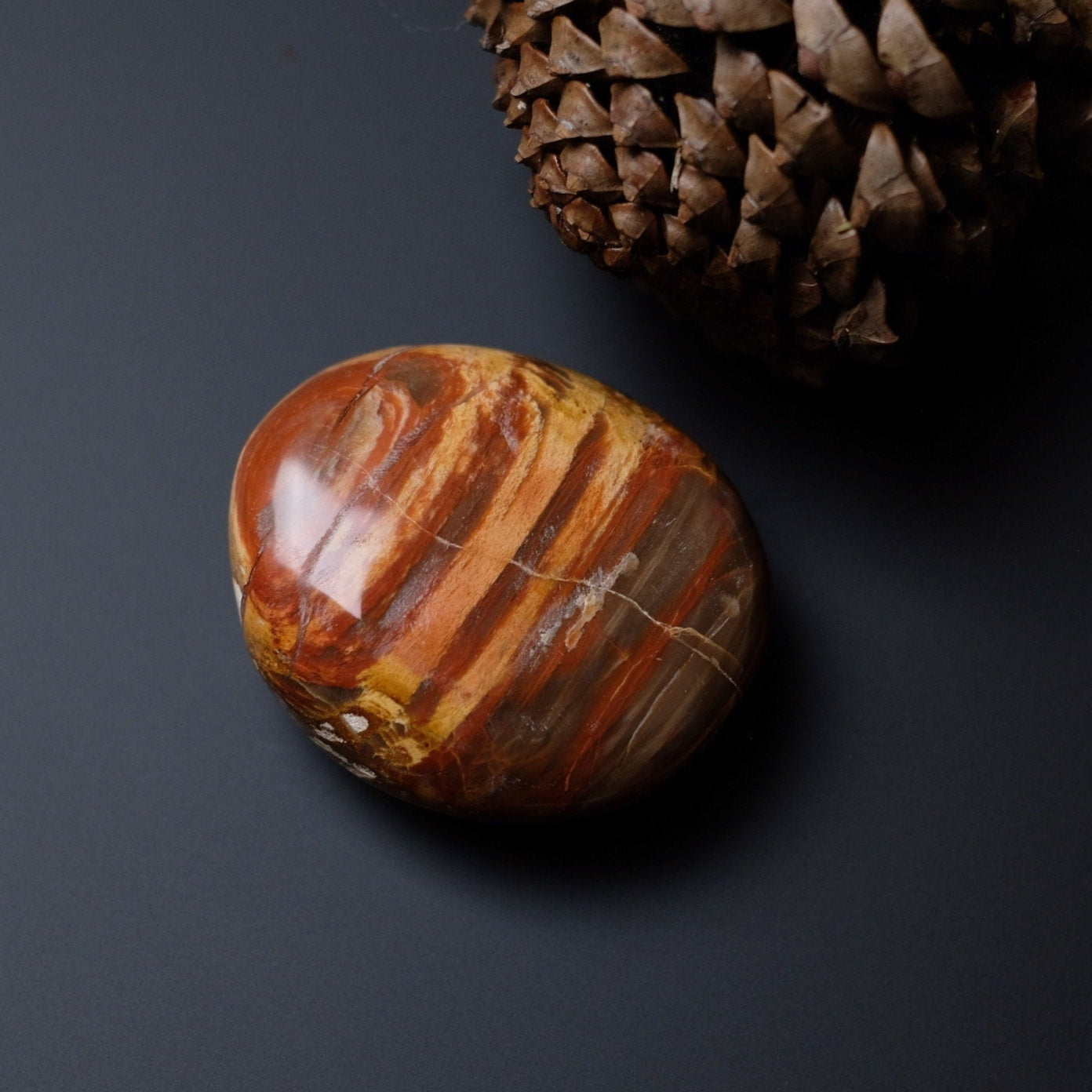 Petrified Wood Palm | Fossilized Wood Crystal Palmstone