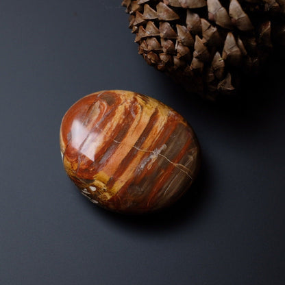 Petrified Wood Palm | Fossilized Wood Crystal Palmstone