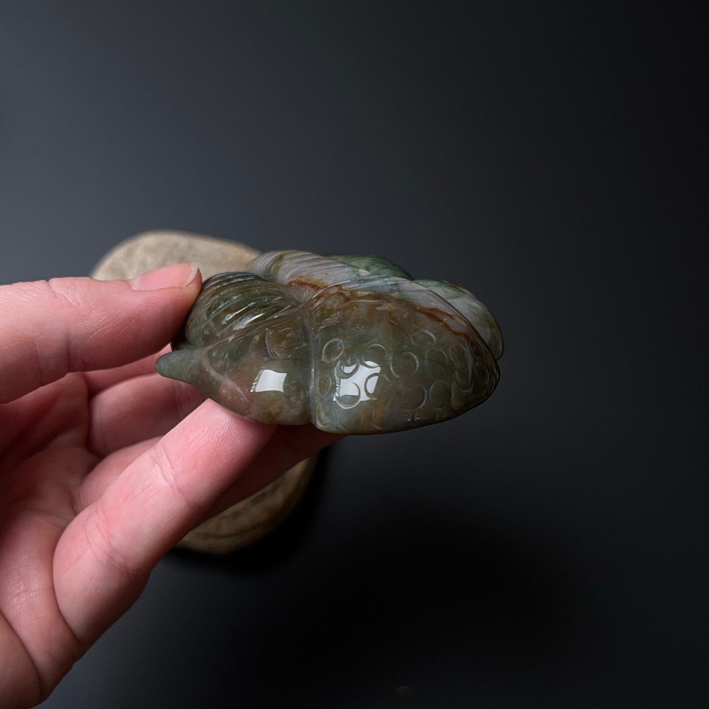 Moss Agate Trilobite Carving | Crystal Animal Carving