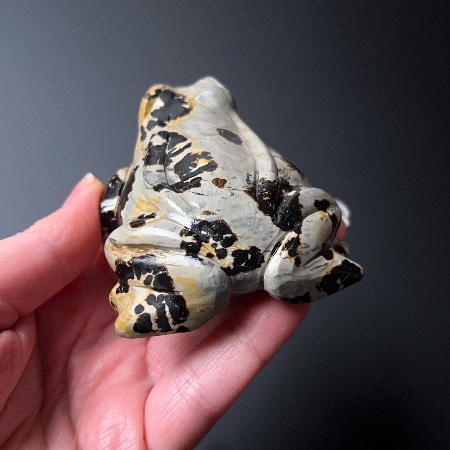 Chohua Jasper Frog Carving | Crystal Frog Carving