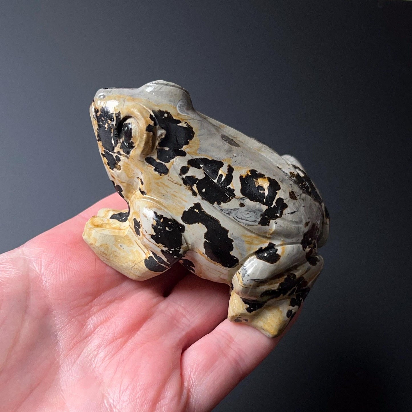 Chohua Jasper Frog Carving | Crystal Frog Carving