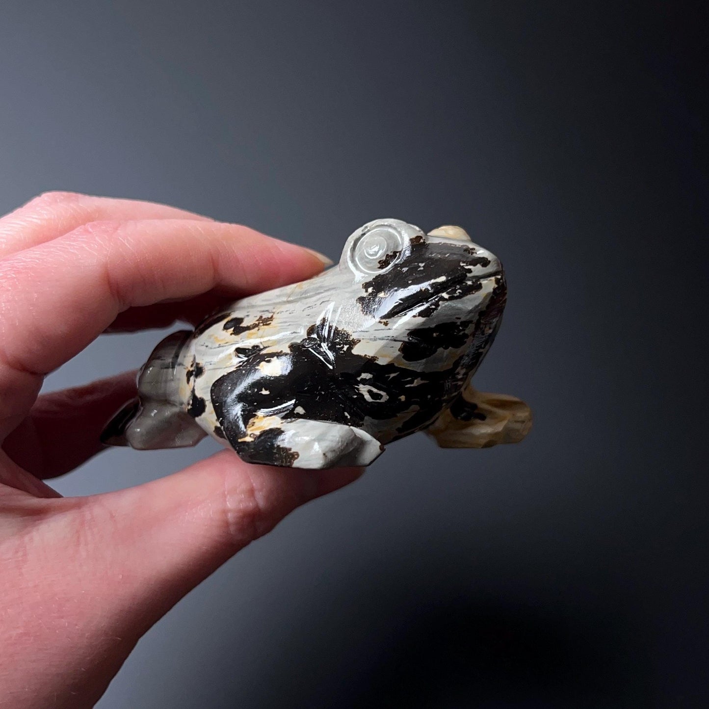 Chohua Jasper Frog Carving | Crystal Frog Carving