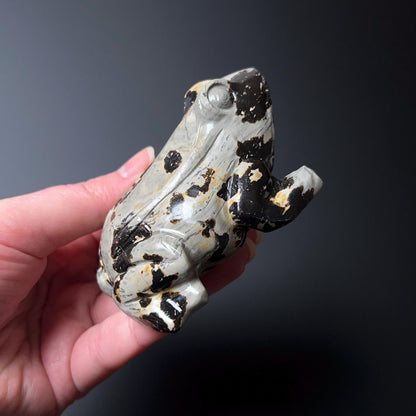 Chohua Jasper Frog Carving | Crystal Frog Carving