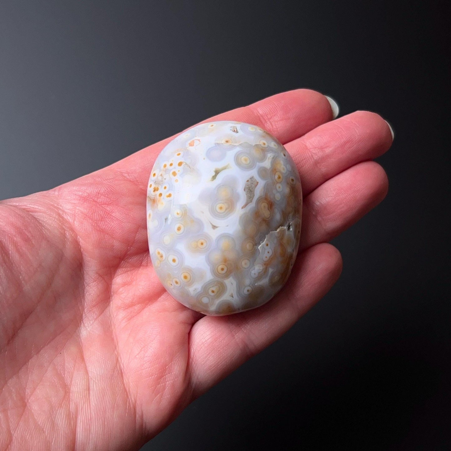 Old Stock Ocean Jasper Palm | Orbicular OJ Crystal Palmstone