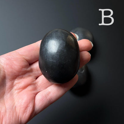 You Choose! Shungite Palms | Shungite Crystal Palmstone