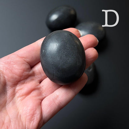 You Choose! Shungite Palms | Shungite Crystal Palmstone