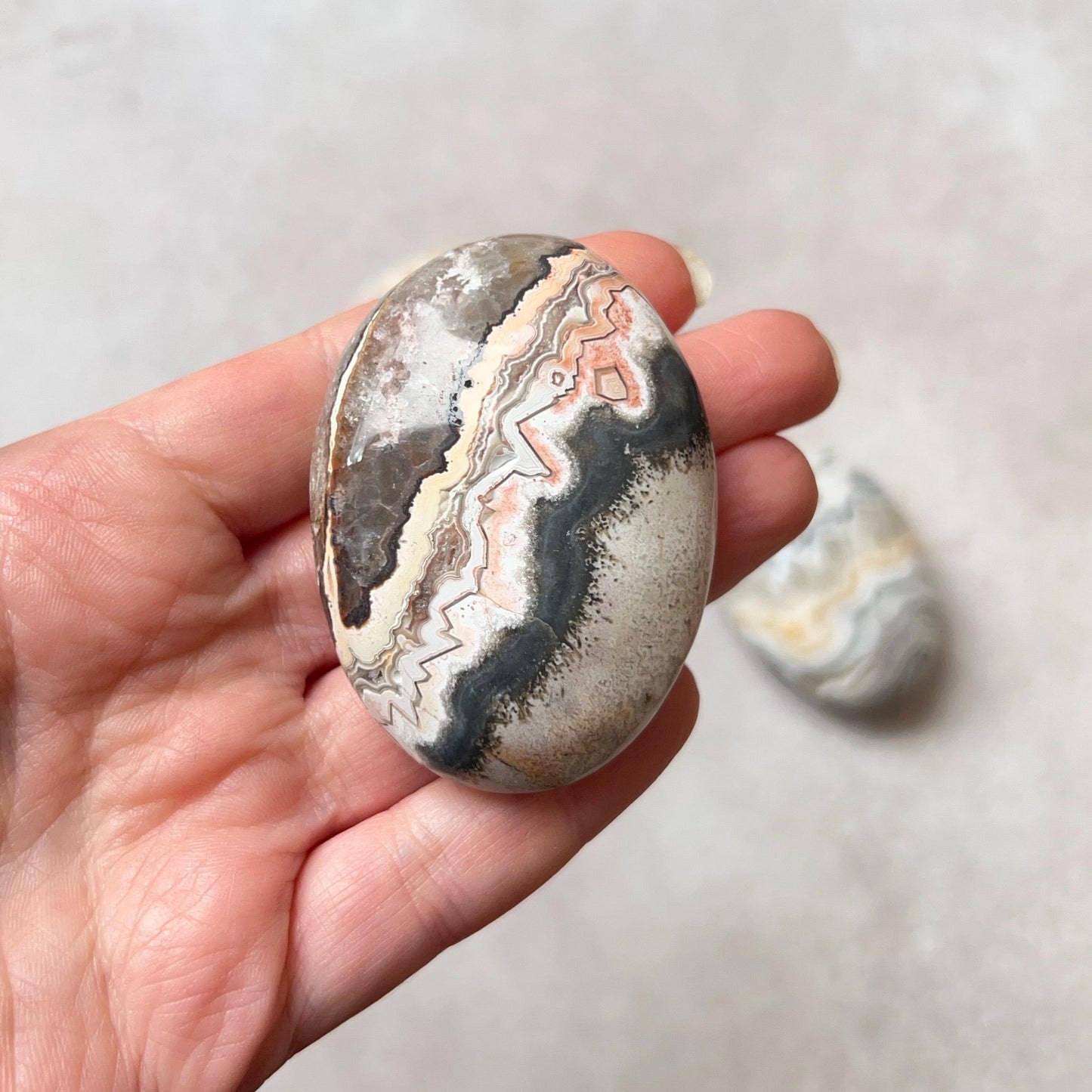 Crazy Lace Agate Palms | Mexican Crazy Lace Crystal Palm