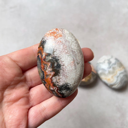 Crazy Lace Agate Palms | Mexican Crazy Lace Crystal Palm