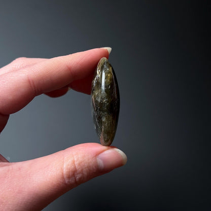 Flashy Labradorite Palm | Crystal Palm Stone