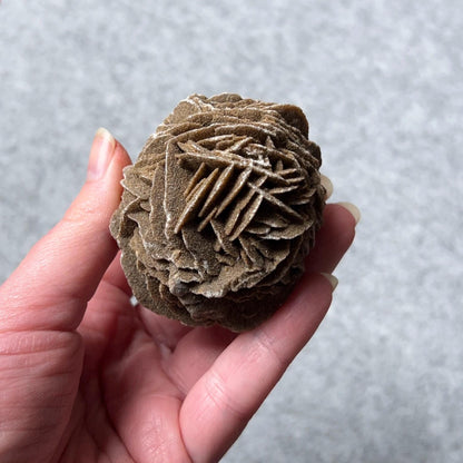 Desert Rose Selenite Specimen | Gypsum Raw Crystal