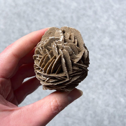 Desert Rose Selenite Specimen | Gypsum Raw Crystal