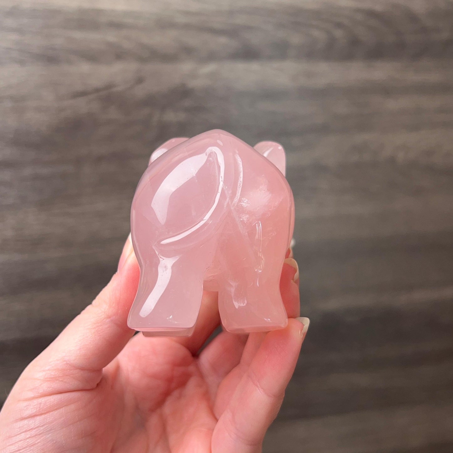 Star Rose Quartz Elephant Carving | Crystal Animal Carving