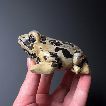 Chohua Jasper Frog Carving | Crystal Frog Carving