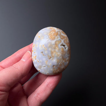 Old Stock Ocean Jasper Palm | Orbicular OJ Crystal Palmstone