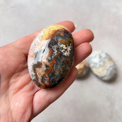 Crazy Lace Agate Palms | Mexican Crazy Lace Crystal Palm