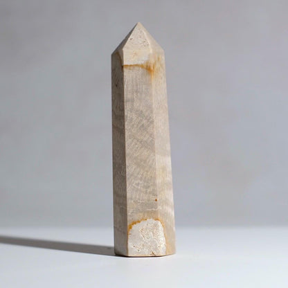 Coral Fossil Point | Coral Crystal Tower