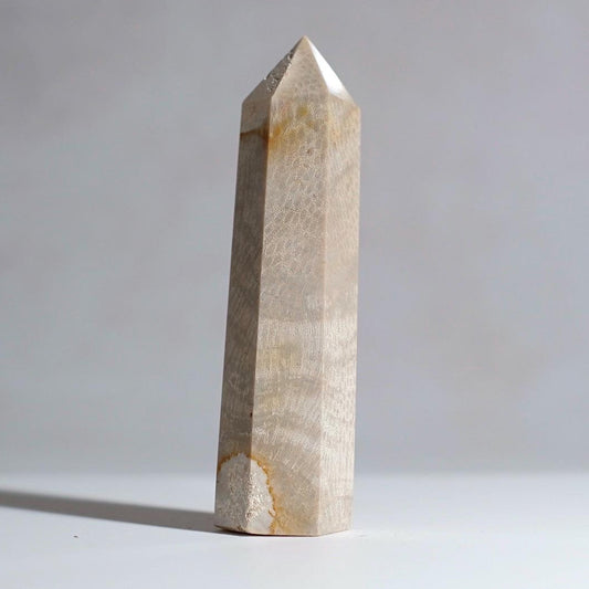 Coral Fossil Point | Coral Crystal Tower