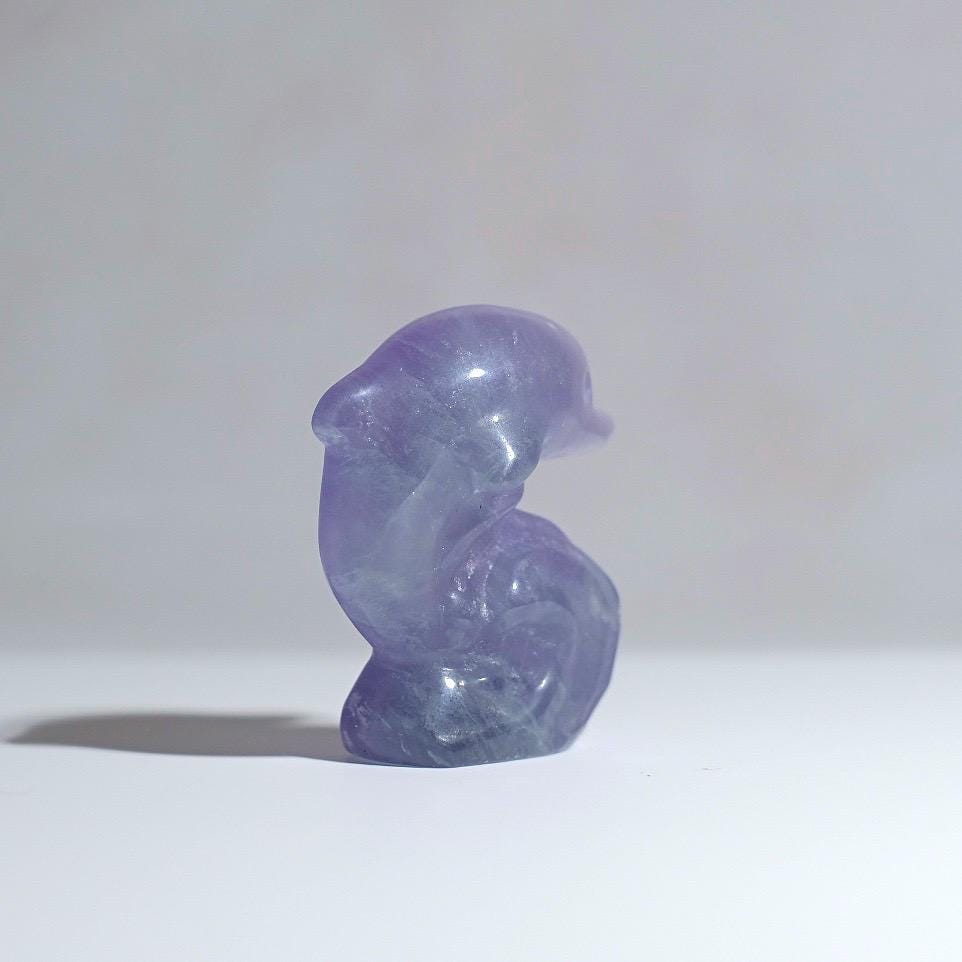 Tanzanite Fluorite Dolphin Carving | Crystal Dolphin