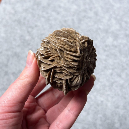 Desert Rose Selenite Specimen | Gypsum Raw Crystal