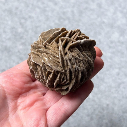 Desert Rose Selenite Specimen | Gypsum Raw Crystal