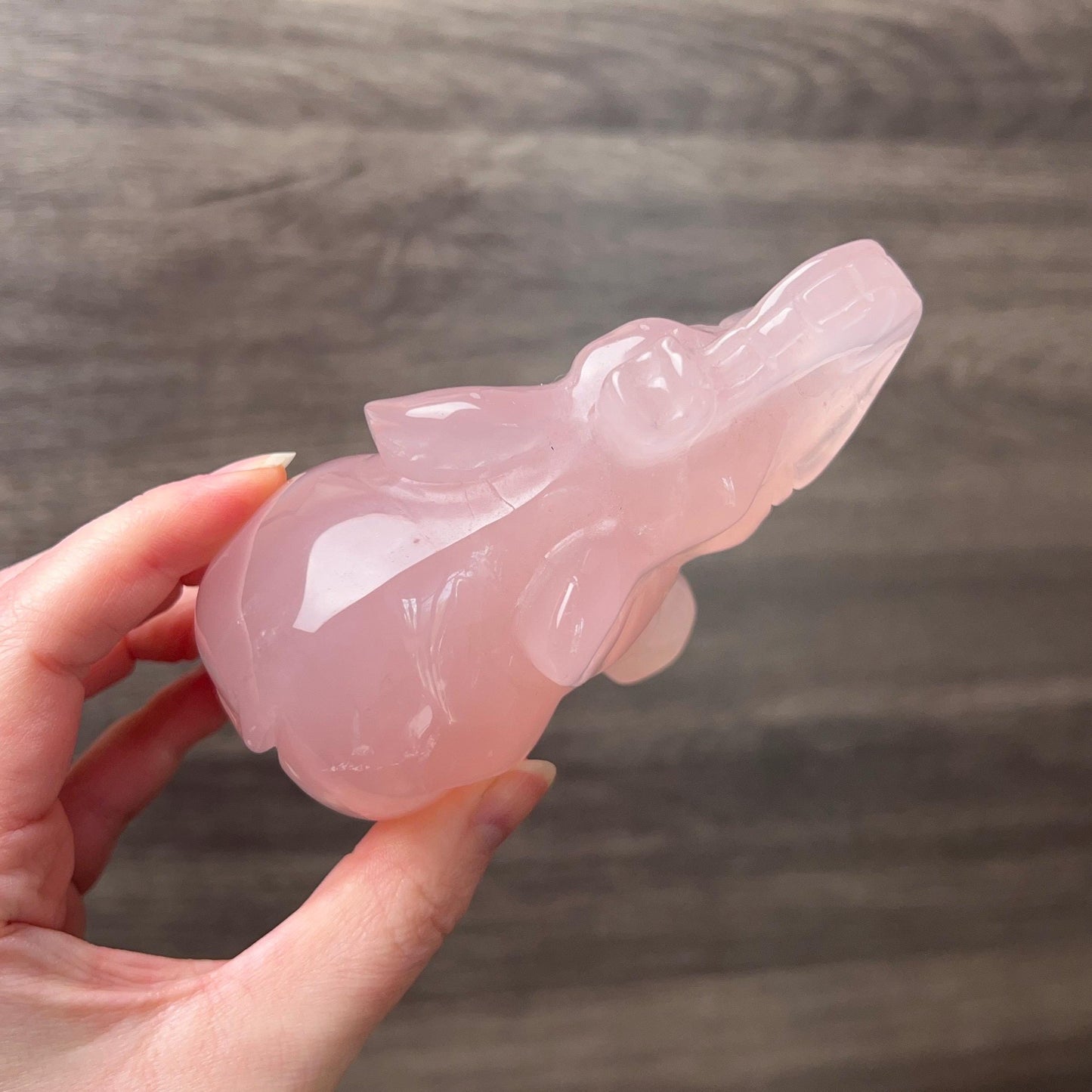 Star Rose Quartz Elephant Carving | Crystal Animal Carving