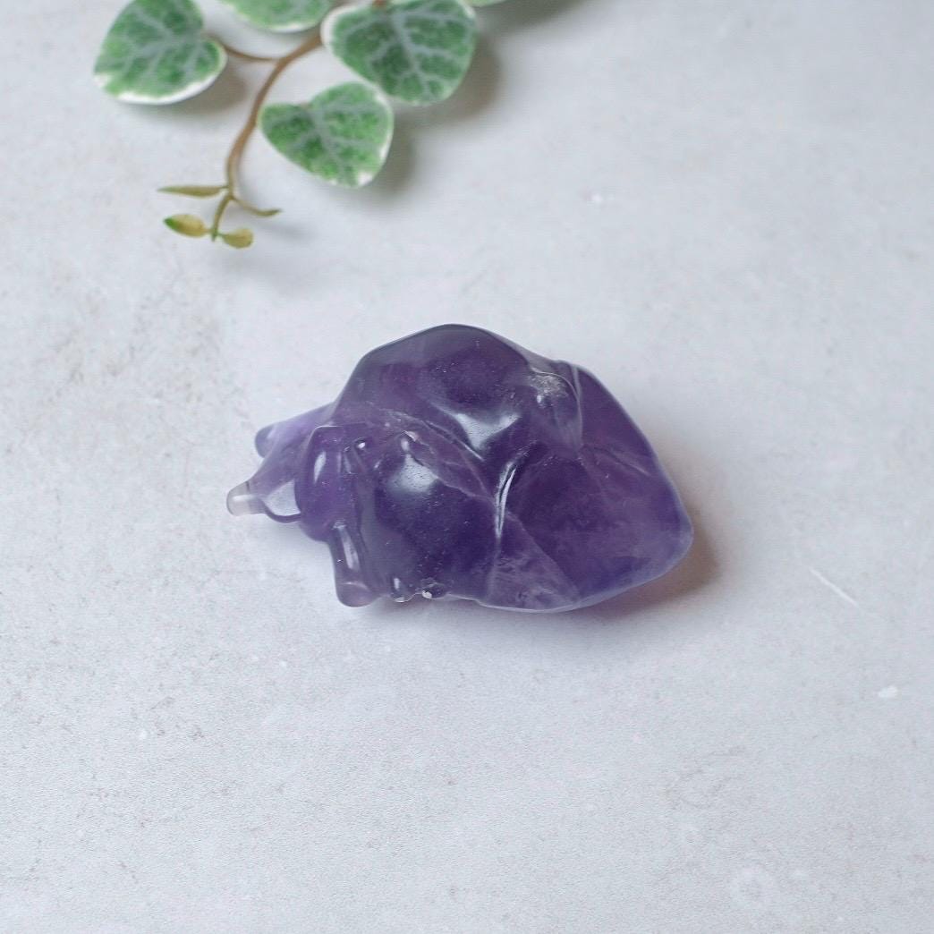 Tanzanite Fluorite Anatomical Heart Carving | Human Crystal Heart