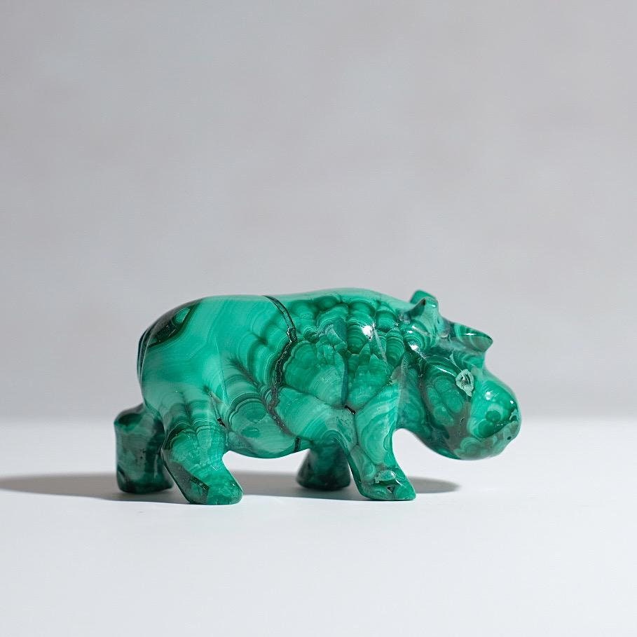 Malachite Hippo Carving | Crystal Animal Carving | Animal Totem