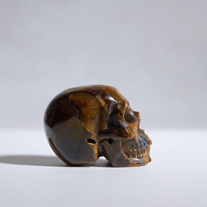 Tiger Eye Crystal Skull | Tigers Eye Skull