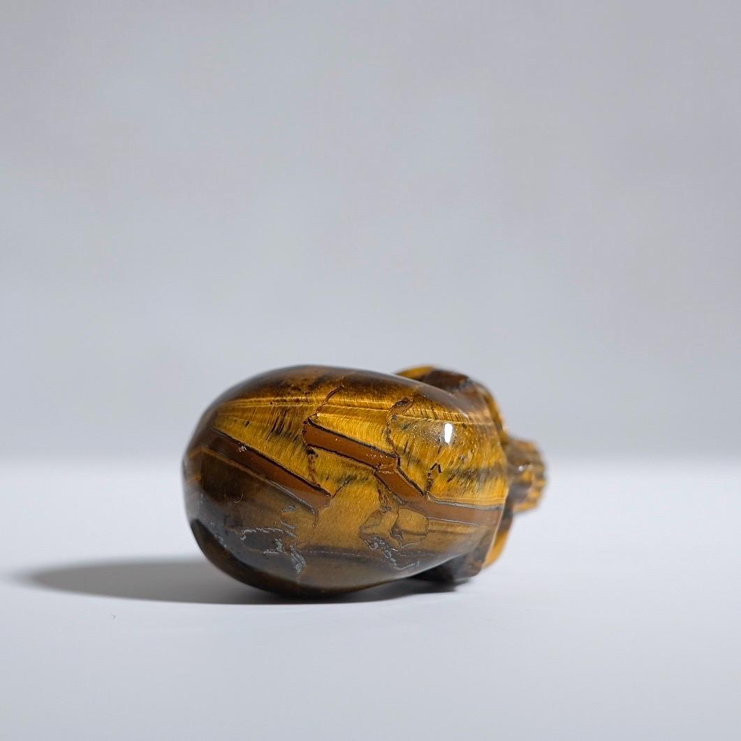 Tiger Eye Crystal Skull | Tigers Eye Skull