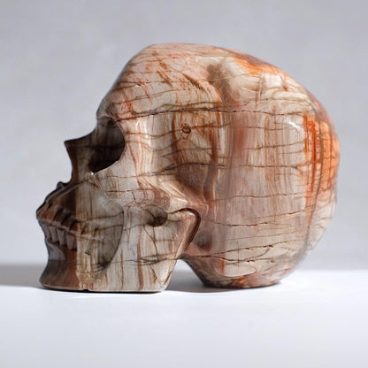 Large Petrified Wood Crystal Skull | Fossilised Wood Skull