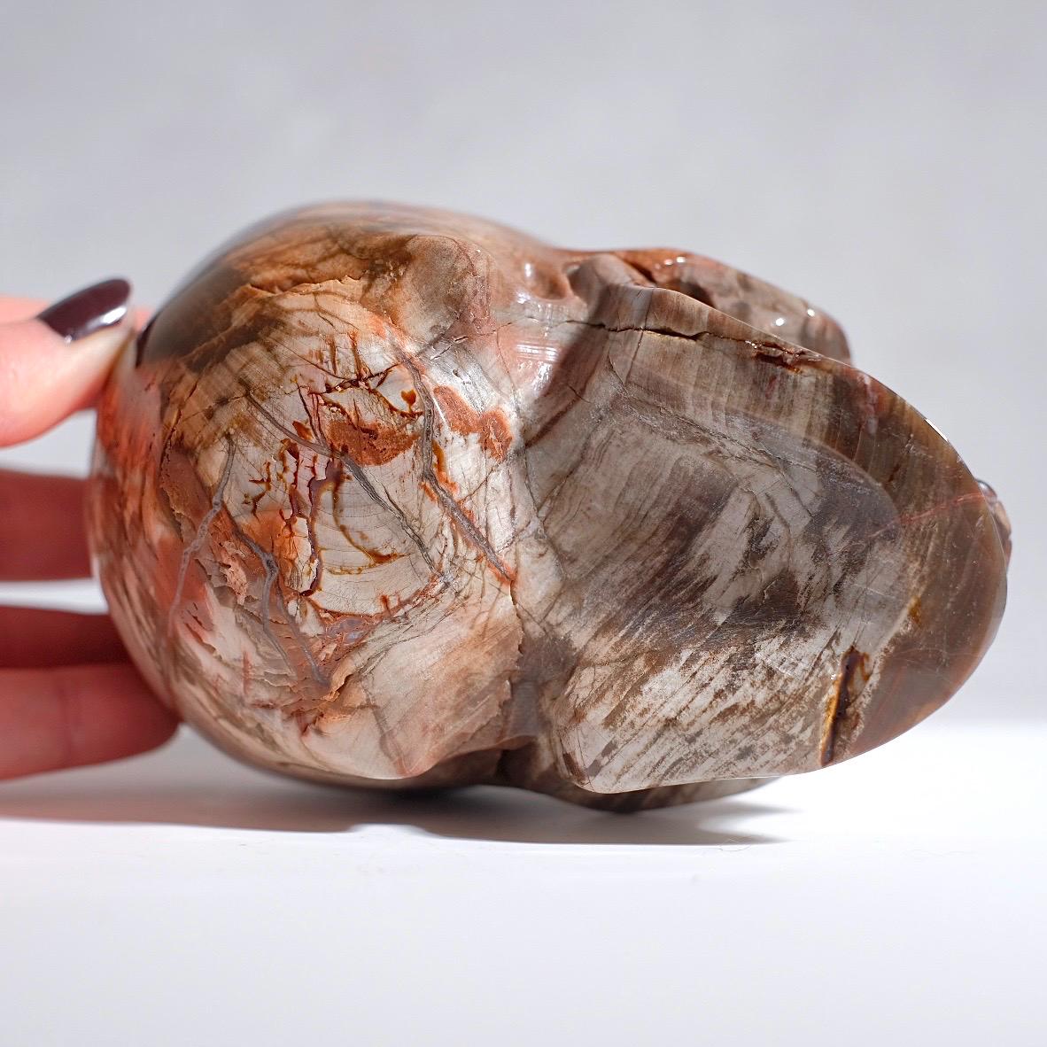 Large Petrified Wood Crystal Skull | Fossilised Wood Skull