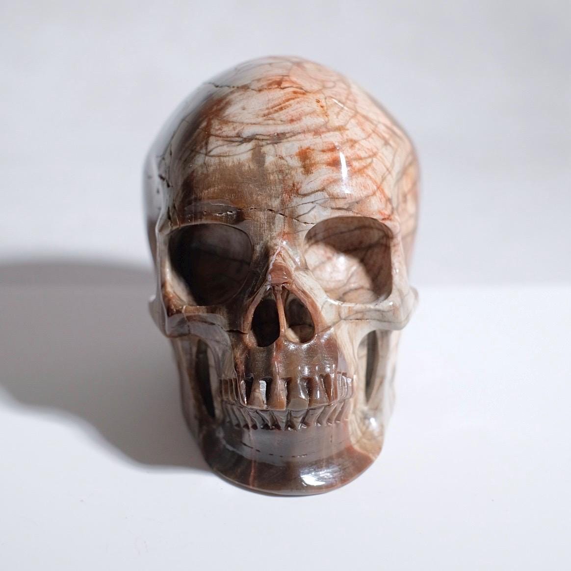 Large Petrified Wood Crystal Skull | Fossilised Wood Skull